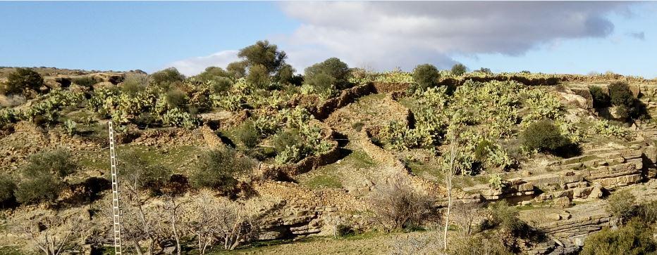 مدينة اسلامية تيحمامين