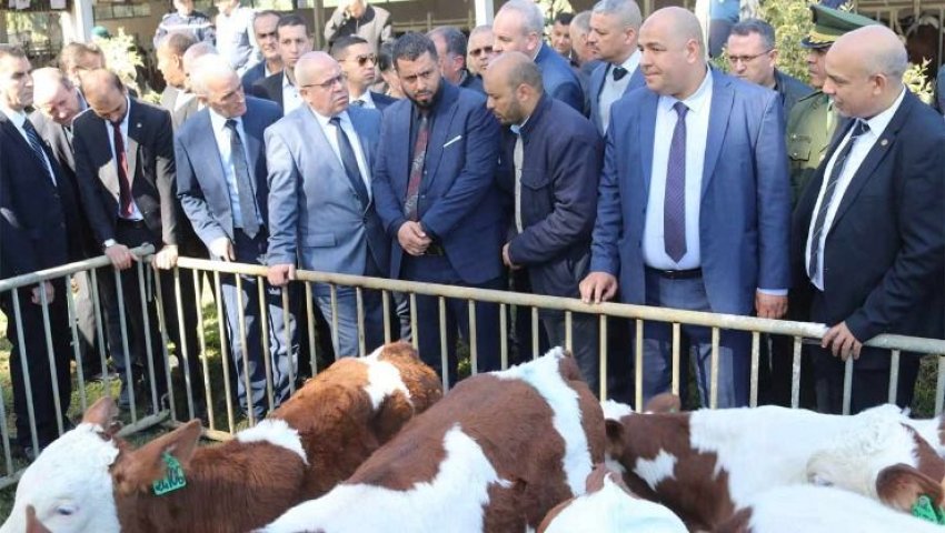 Algérie - Cherfa à partir de Médéa: «Les fermes pilotes seront converties en centres de production spécialisés»