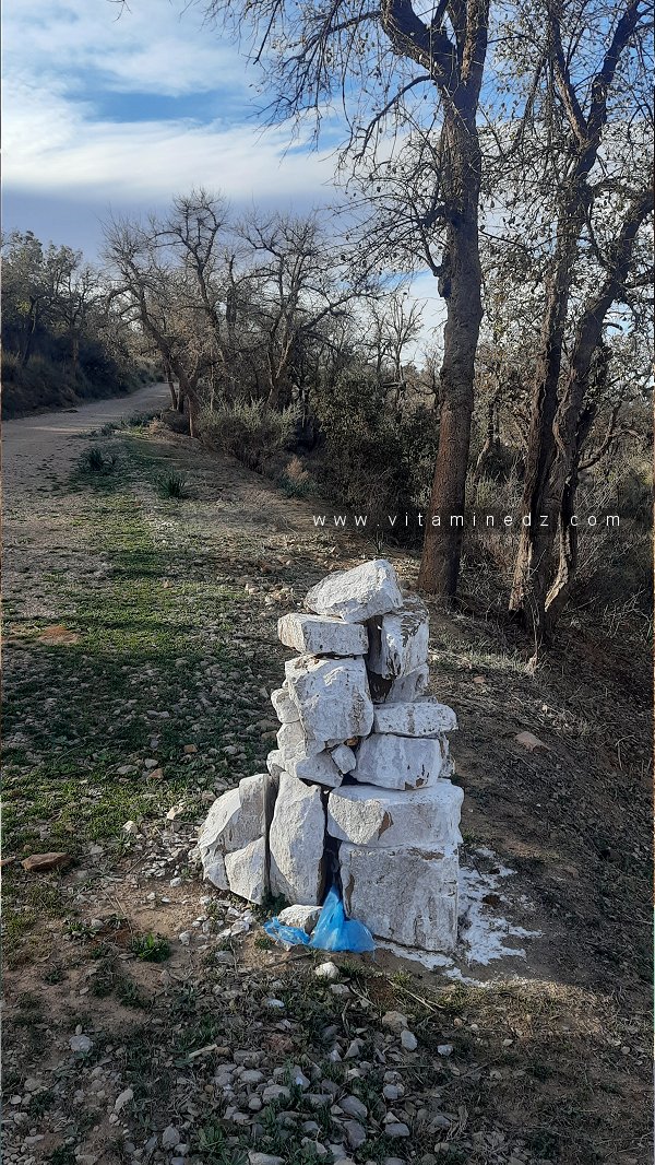 La gestion des espaces pastoraux en Algérie : dynamique et stratégies des acteurs