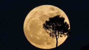 Projet «Sanctuary of the Moon» en partenariat avec l'Unesco et la Nasa Un «condensé» du patrimoine de l'humanité envoyé sur la Lune