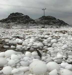 Algérie (Tiaret) -  Des chutes de grêle et des dégâts