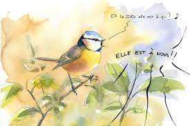 Planète (France/Europe) - La mésange bleue, nouvelle alliée contre l’A69