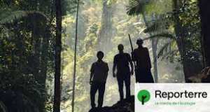 Planète - «La Promesse verte», le thriller écologique qui dénonce le désastre de l’huile de palme