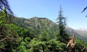 Parc national du Djurdjura: un concours écologique en hommage à Si Mustapha Muller