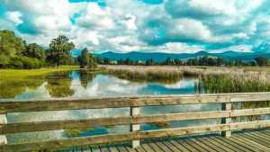 Le lac Tonga souffre, les Algériens l’admirent