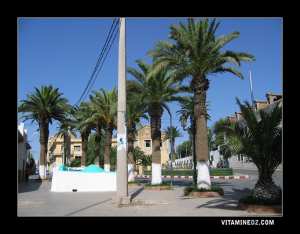 Les habitants originels de la ville de Tlemcen