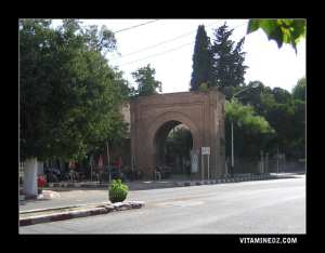 تاريخ مدينة تلمسان في القدم