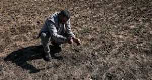 Planète - Réchauffement climatique: une envolée des prix de l’alimentation à l’horizon