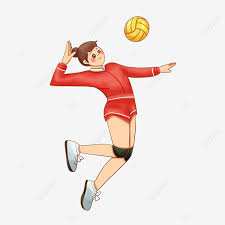 Algérie - Coupe d'Algérie volley-ball, dames:  RC Béjaïa et MB Béjaïa, affiche de la finale