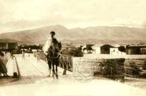 العين الصفراء ♥