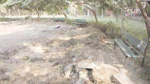 Algérie (Bechar) -  Le jardin public à l’abandon