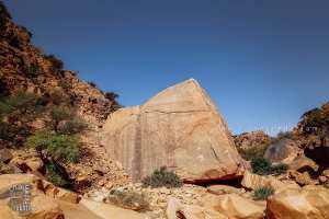 الحظيرة الوطنية لجبل عيسى بالنعامة: مؤهلات طبيعية تبحث عن تثمين