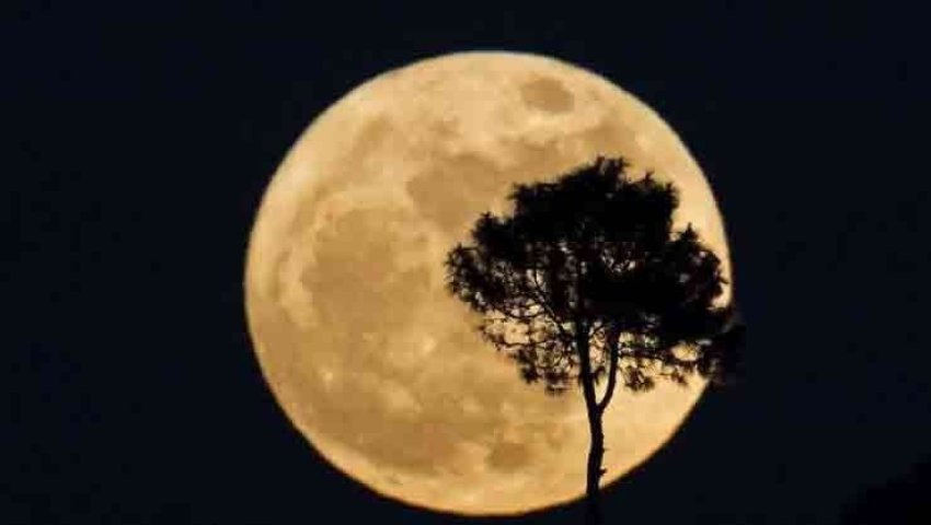 Projet «Sanctuary of the Moon» en partenariat avec l'Unesco et la Nasa Un «condensé» du patrimoine de l'humanité envoyé sur la Lune