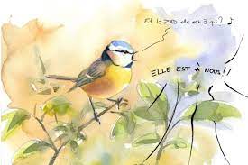 Planète (France/Europe) - La mésange bleue, nouvelle alliée contre l’A69