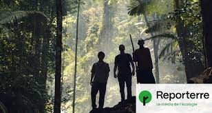 Planète - «La Promesse verte», le thriller écologique qui dénonce le désastre de l’huile de palme