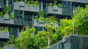 Planète - L’effet retors des arbres en ville