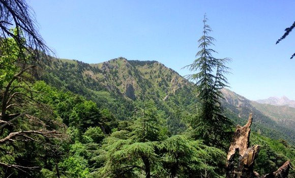 Parc national du Djurdjura: un concours écologique en hommage à Si Mustapha Muller