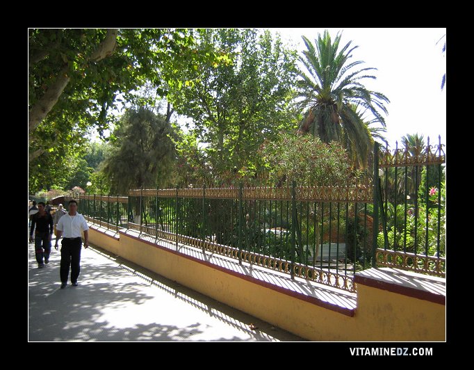 سكان مدينة تلمسان