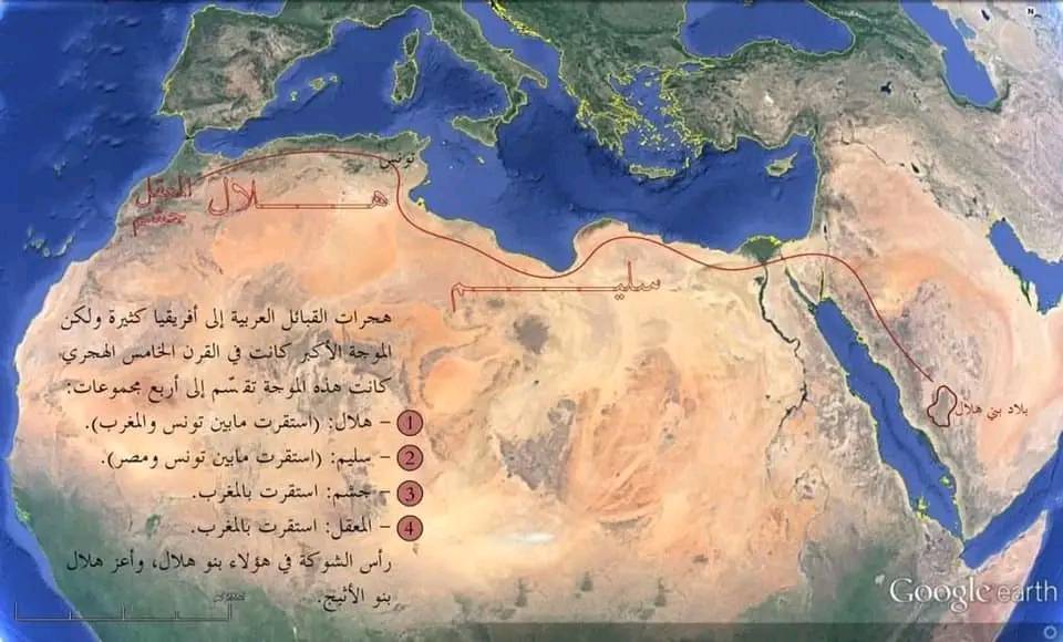 🛑 أجذام قبائل العرب فى شمال إفريقيا