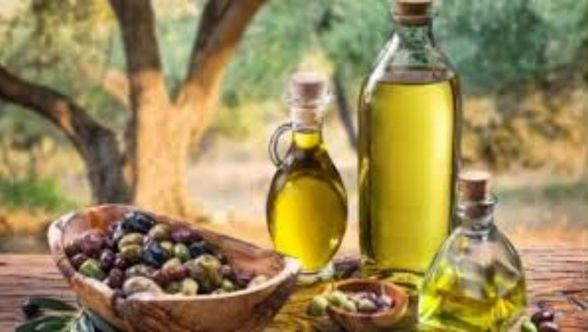 Concours international Eiooc à Genève L’huile d’olive algérienne sera de la partie