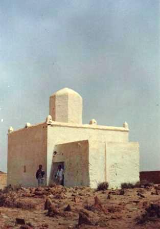 شجرة الوالي الصالح سيدي بوتخيل