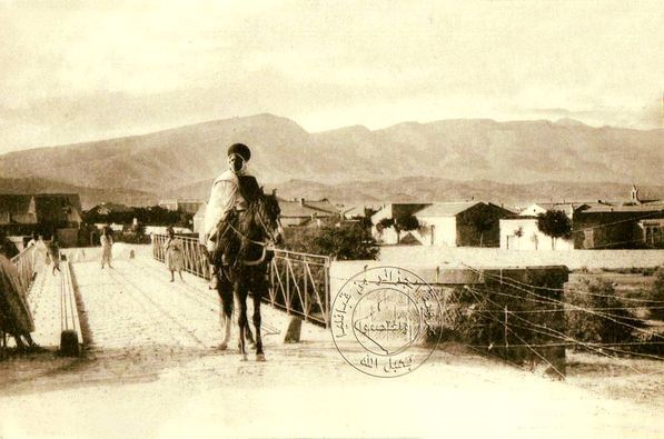 العين الصفراء ♥