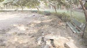 Algérie (Bechar) -  Le jardin public à l’abandon