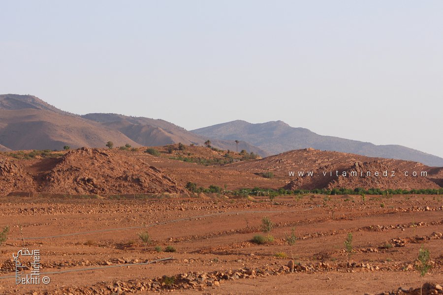 Parc national de Djebel Aïssa (Nâama) : Des potentialités naturelles en quête de valorisation
