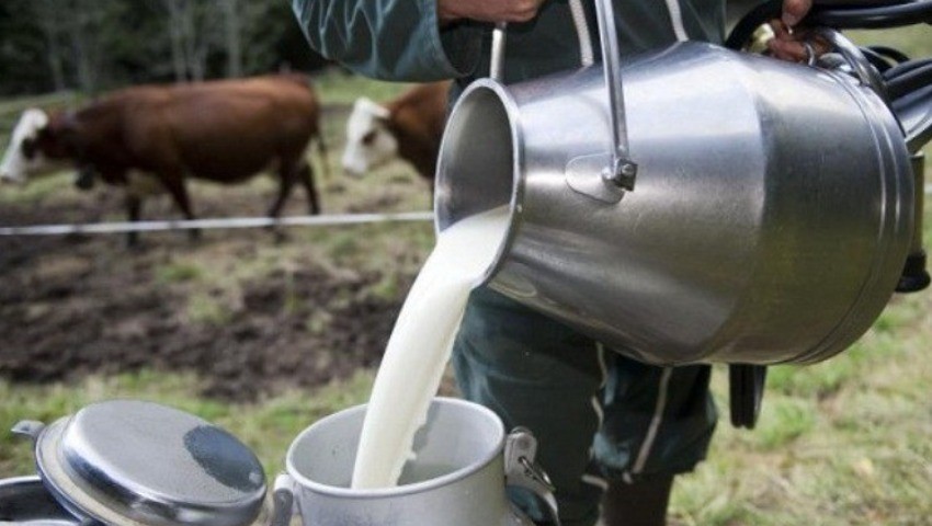 Développement de la filière lait Le potentiel et les entraves