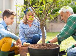 Planète (France/Europe) - Les Français et leurs jardins: pour Jean Viard, 