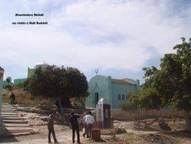 سيدي بختي بن عياد دفين بلاد غمرة (١)