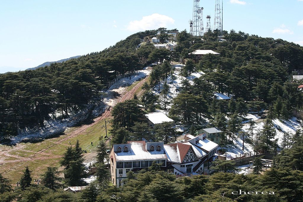 Algérie (Chréa/Blida) - 