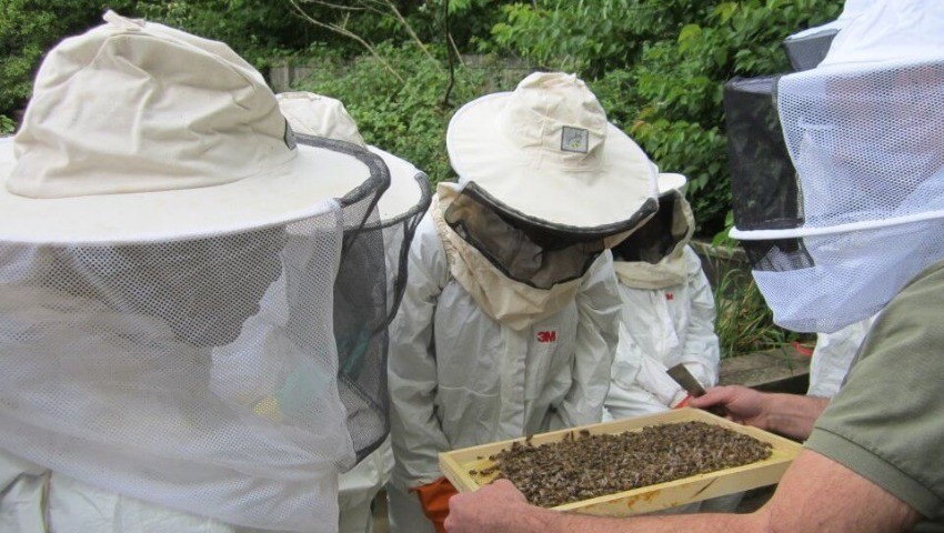 Université de Bouira L’apiculture vue par les scientifiques