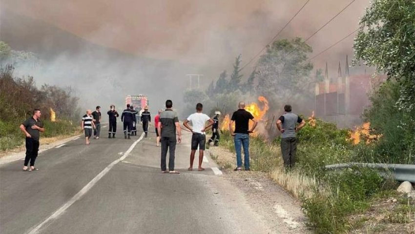 Algérie (Béjaïa) -  Sonelgaz annonce une opération de lutte contre les feux de forêt