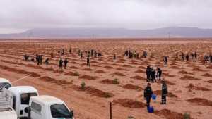 Algérie (Naâma) -  Journée d’étude sur la lutte contre la désertification