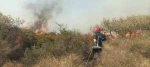 Feux de forêts de Khenchela et d'El-Taref : Arrestation de 15 individus