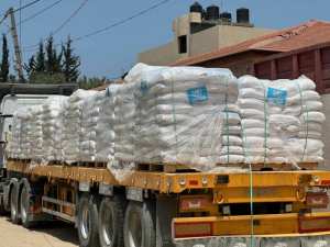 أونروا  تحذر من انقطاع المساعدات عن غزة عبر معبر رفح - الشعب أونلاين