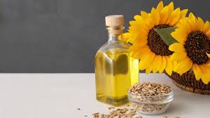 Algérie (Médéa) -  Le tournesol fait son chemin