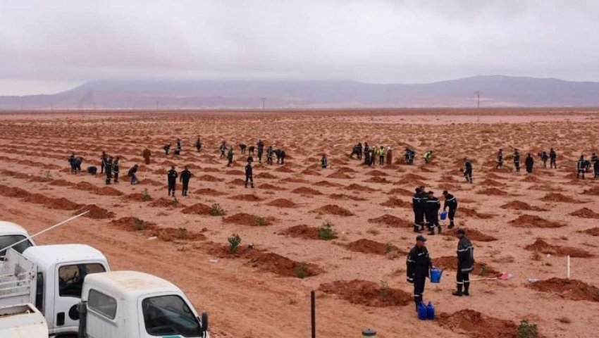 Algérie (Naâma) -  Journée d’étude sur la lutte contre la désertification