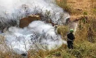 البليدة : توقيف امرأة مشتبه في تورطها في قضية نصب و احتيال