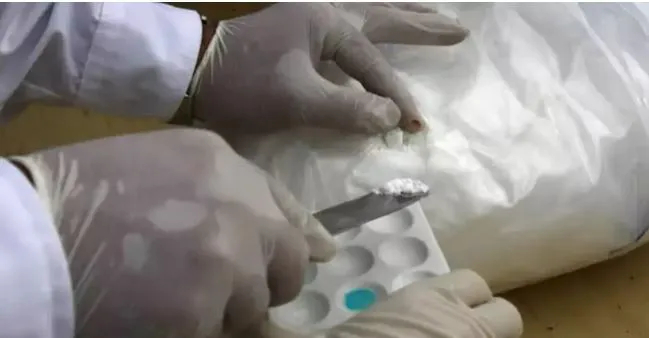 Mascara : Saisie d'une quantité considérable de cocaïne