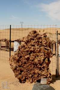 À la découverte des mystères des roses des sables : Cristallisations de beauté dans les déserts