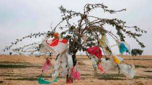 Sebaa Chioukh (Tlemcen) -  La décharge à l'index  Pollution de l'environnement par les déchets plastiques...