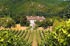 Planète (France/Europe) - Une action en justice inédite unit des victimes des pesticides contre l’État