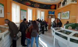 Le Musée de géologie de Béjaia, un temple de la science et du tourisme