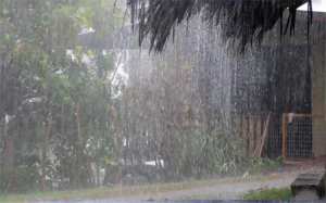 Fortes pluies dans plusieurs wilayas