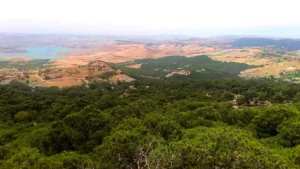 Dossier / LA FORÊT ALGÉRIENNE FACE AUX DÉFIS DES INCENDIES ESTIVAUX I. Un patrimoine dévasté par la colonisation