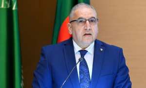 Journée de l'Afrique: l'Algérie déterminée et soucieuse de poursuivre l'effort collectif africain