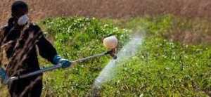 Planète (Agriculture)  -  La FAO préoccupée par l'utilisation croissante de pesticides