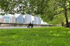 Planète (Europe) - Touche pas à ma pelouse ! Pour protéger les insectes, le Royaume-Uni remballe les tondeuses